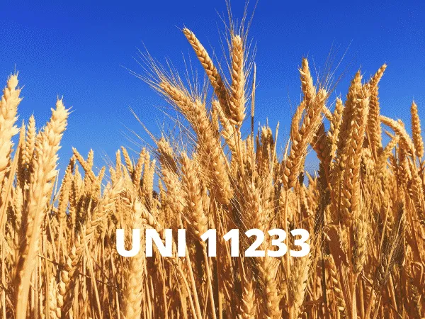 UNI 11233