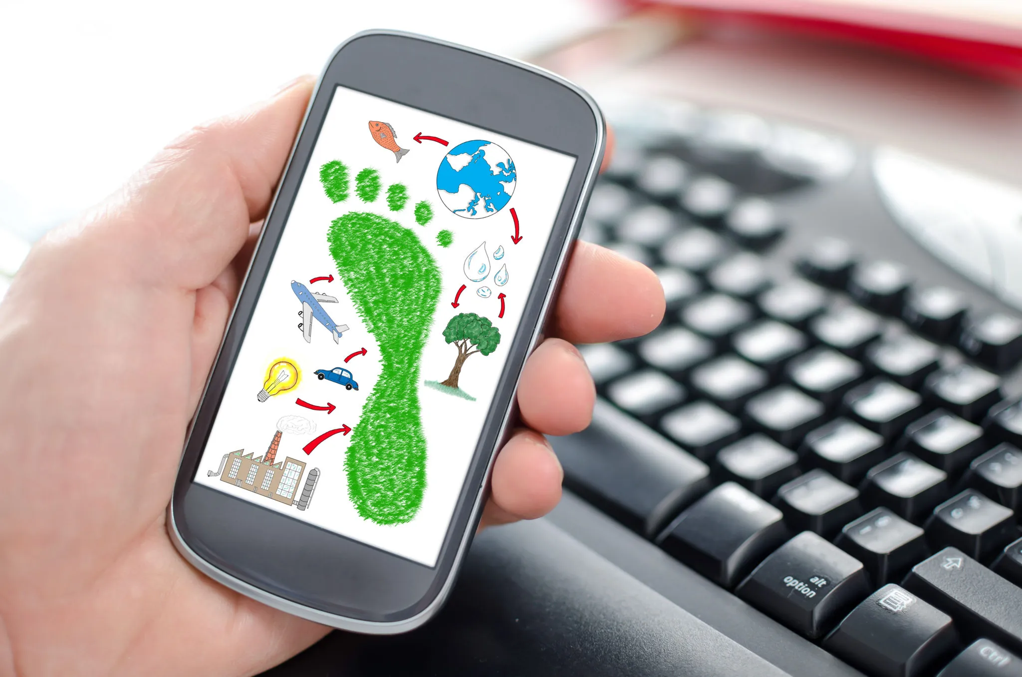 carbon footprint ministero ambiente